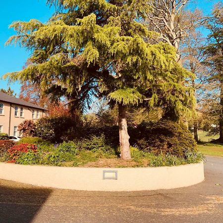 The Bannville Hotel Banbridge Luaran gambar